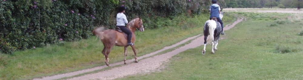 Horse riding in Dexter